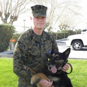 Rico military dogs